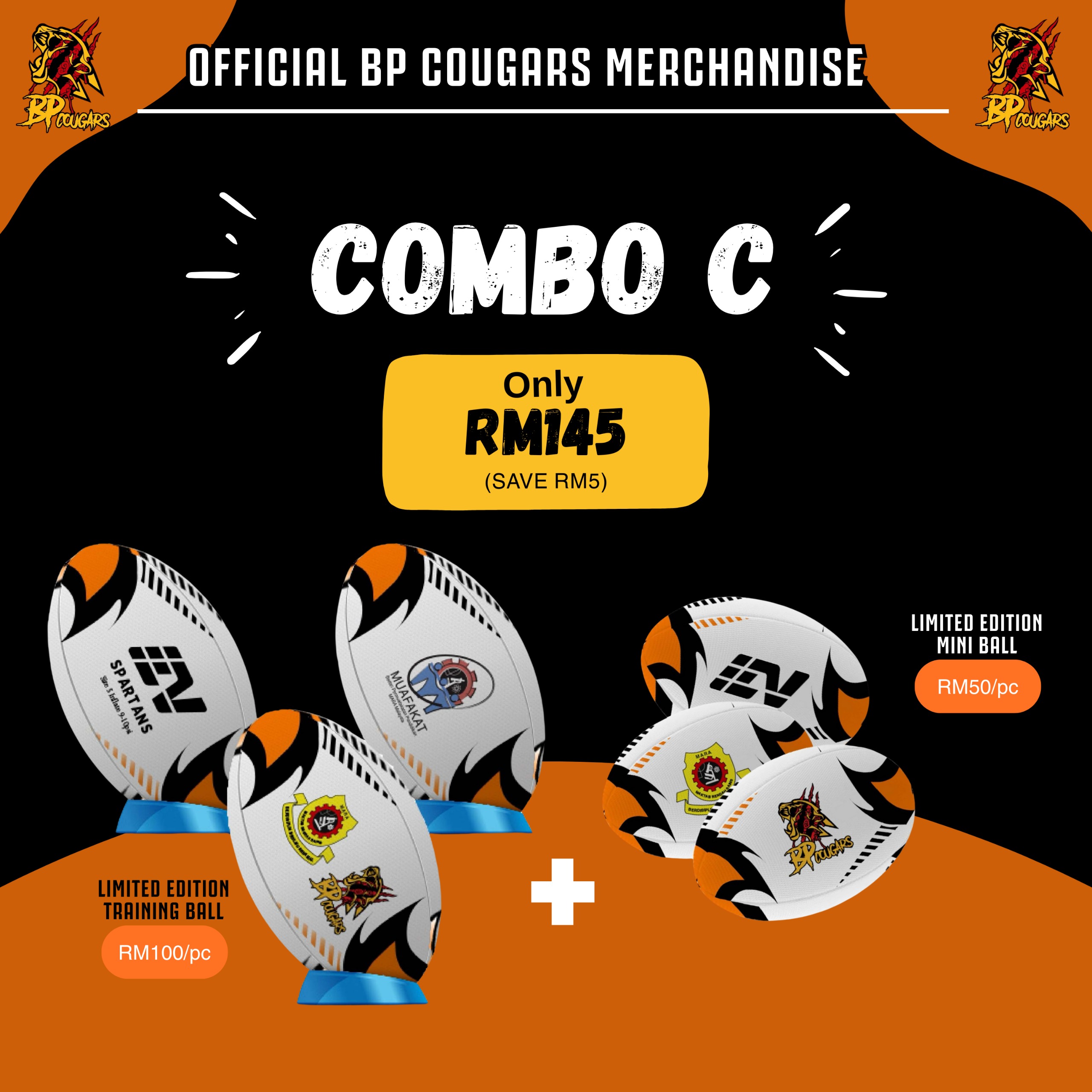 Combo C: Training Ball + Mini Ball
